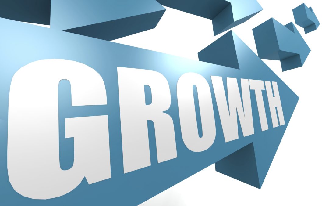 Avoiding Stagnation and Growing Your Business
